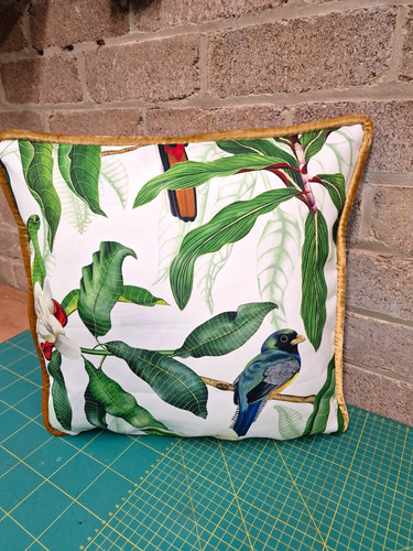 Osborne little michalia bird - little,